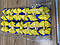 Резинки для волосся жовто-блакитні бантики 12 шт/уп, фото 2