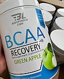 Амінокислоти Bodyperson Labs BCAA Recovery 500 g, фото 4