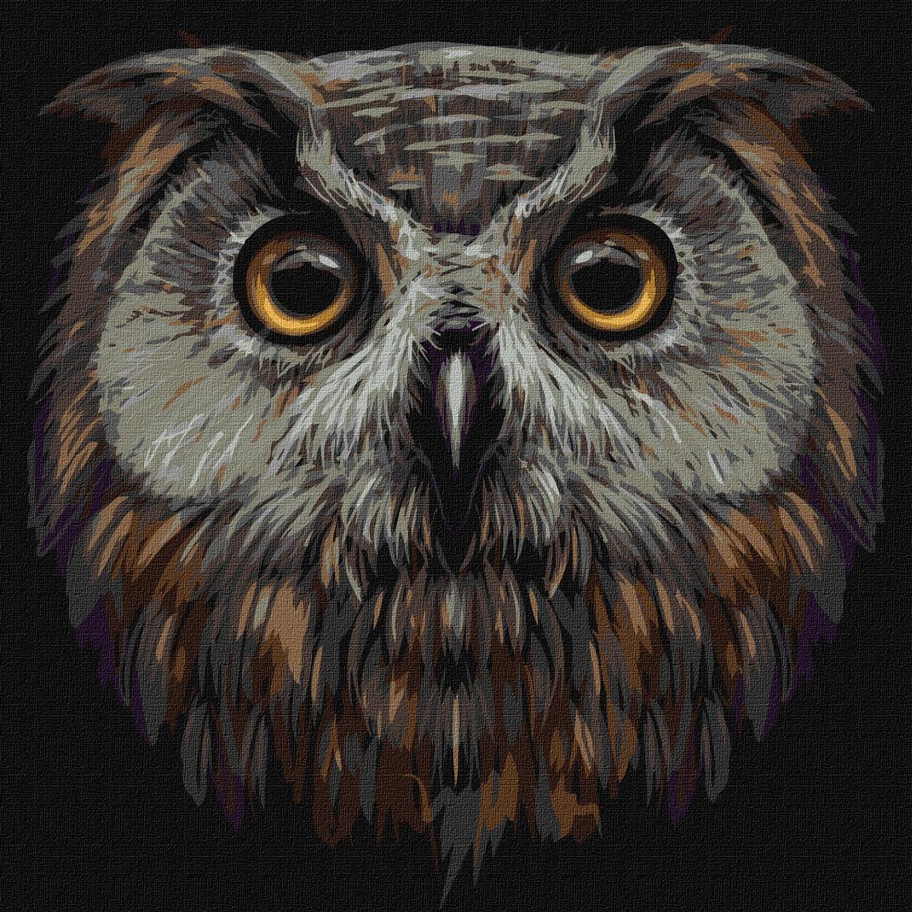 Картина за номерами Птах мудрості. Сова 40*40 см Ідейка KHO 4388, фото 1