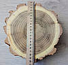Кап зрізу дерева, шліфований для декору,заливки епоксидною смолою ( d 20х20 см), фото 4