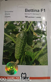 Огірок Беттіна F1 10 нас.