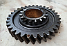 52-1701111 Шестерня 2-й передачі КПП ГАЗ 3307, ГАЗ 53, фото 2