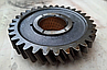 52-1701111 Шестерня 2-й передачі КПП ГАЗ 3307, ГАЗ 53, фото 3