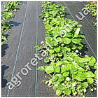 Агротканина вологопроникна чорна із зеленою смугою щільність 95 ширина 3.2 м на метраж Agreen, фото 6