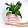 Горщик керамічний кашпо для квітів мінімальний дефект "Губи" Рожевий мат 0,7л Rezon Р289, фото 3