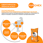 Білково-вітамінно-мінеральна добавка для бройлерів на гровері AVA Chick PRO BG 35%, фото 4