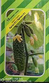 Огірок Артіст F1 10нас.