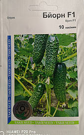 Огірок Бйорн F1 10 нас.