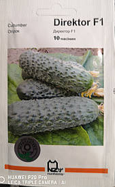 Огірок Директор F1 10 нас.