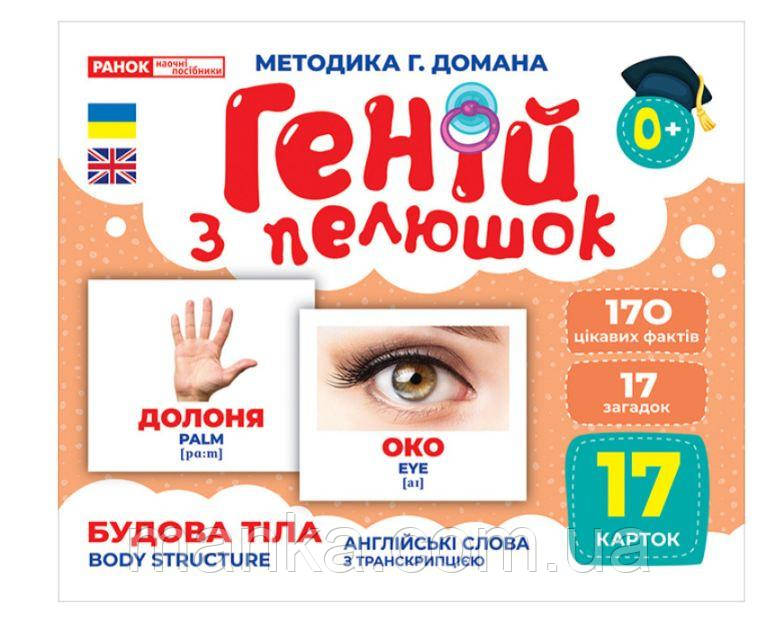 Геній з пелюшок. Будова тіла. Демонстраційний матеріал (українською мовою) 10107202У