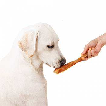 Ласощі для собак