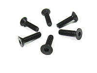 3*12 Flat Head Screws 6P