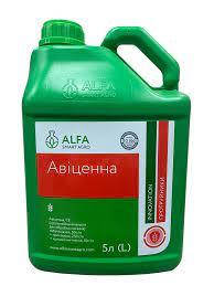 Протравник Авіцена (5 л) для зернових, лосових, кукурудзи. Авіцена