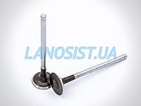 Клапан випускний Авео 1.6 Лачетті 1.6 GM 25192555