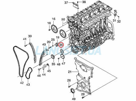 Зірка колінвала приводу масляного насоса Епіка 2.0-2.5 Еванда 2.5 GM 96309113, фото 2