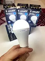 Лампочка Amasco 12W с аккумулятором | Аварийная лампа Amasco 12W | LED Лампа с аккумулятором 12W