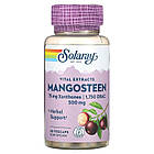 Мангостин (Mangosteen) 500 мг