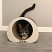 Кігтеточка тунель  для кота з гофрокартону Ampir 30х24х37см, фото 3