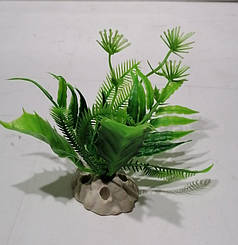 Спокуслива рослина 10 см Lang