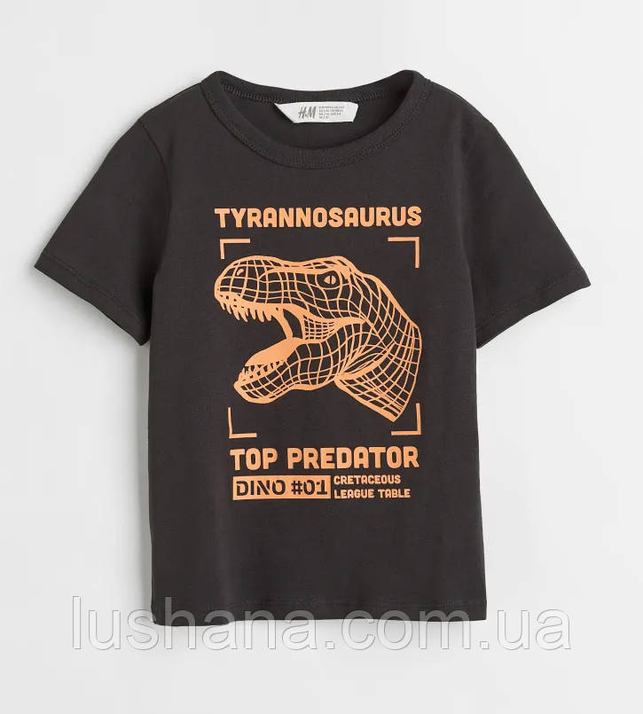 Дитяча футболка H&M для хлопчика 2-4 роки – р.98/104, фото 1