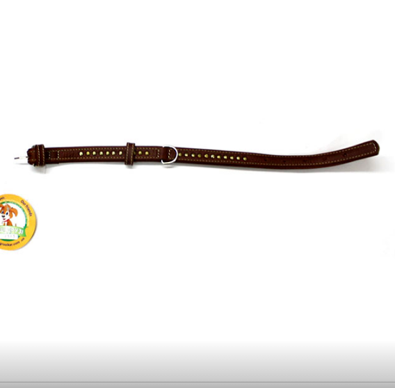 Нашийник 2311 20мм "Преміум" шкіра подвійний прикрашений металофурнітура (Коричневий)