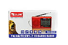 Портативна колонка радіо MP3 USB Golon RX 6633 Gold, фото 6