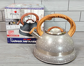 Чайник зі свистком із неіржавкої сталі 3 л Stenson MH-2986/Чайник для плити