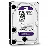Жорсткий диск Western Digital Purple 1 TB 64 MB 5400 rpm WD10PURX 3.5 SATA III