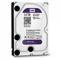 Жесткий диск Western Digital Purple 1TB 64MB 5400rpm WD10PURX 3.5 SATA III