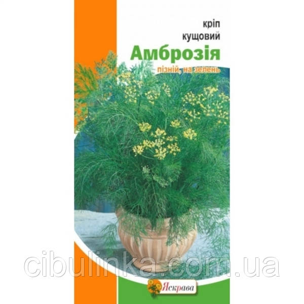 Насіння Кріп Амброзія Яскрава (Фасовка: 5 г), фото 1