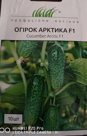 Огірок Арктіка F1 10 нас., фото 1