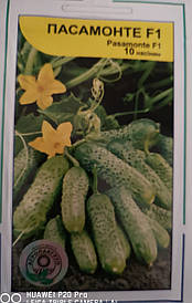 Огірок Пасамонте F1 10 нас.