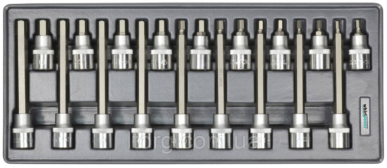 Whirlpower Набір головок зі вставкою Hex 1/2" Н5-Н19 18од ложемент