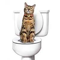 Набор Для Приучения Котов к Унитазу Туалет Citi Kitty от производителя - Kitty