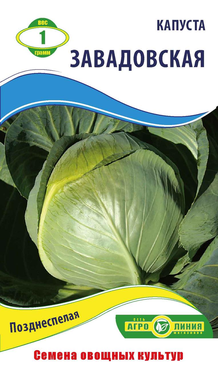 Насіння капусти «Заводська» 1 г