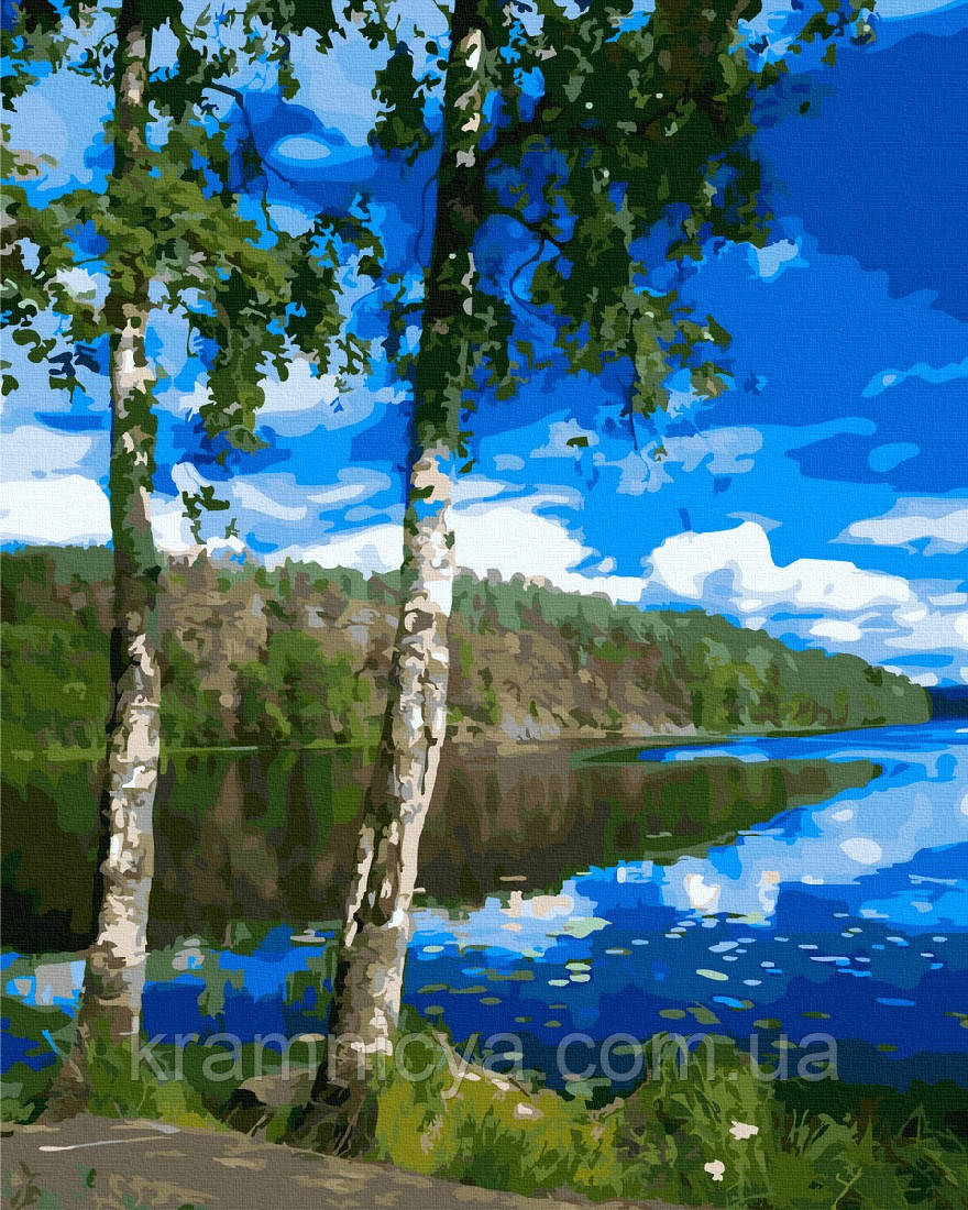 Картина за номерами Українські простори, 40х50 (GX27421)