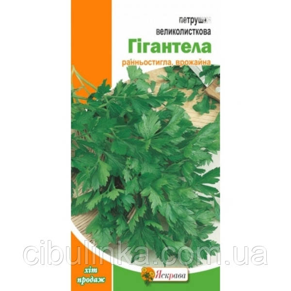 Насіння Петрушка Гігантела Яскрава 2 г, фото 1