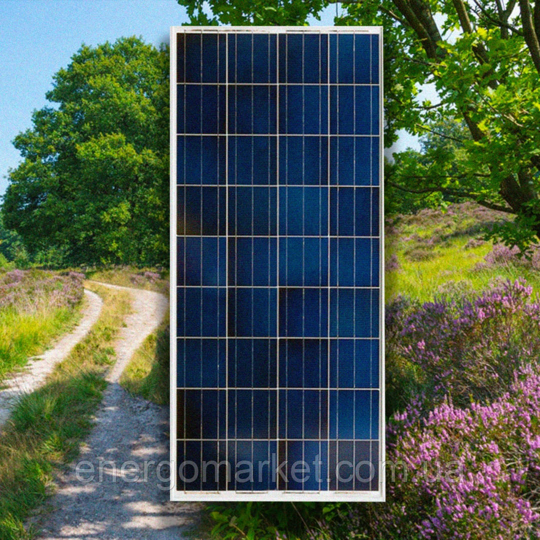 Полікристалічна сонячна панель Victron Energy 45W-12V SERIES 4A (45 Вт)