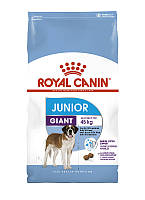 Сухой корм Royal Canin Giant Junior для молодых собак гигантских пород в возрасте от 8 до 18 месяцев 15 кг