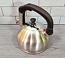 Чайник зі свистком із неіржавкої сталі 3 л Edenberg EB-8826  ⁇  Свистий чайник, фото 7