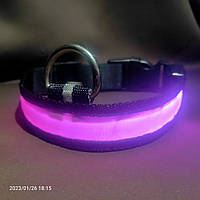 Светящийся ошейник для собак: светодиодный, с USB зарядкой, розовой подсветкой S: 35-43 см
