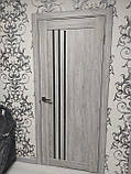 Двері міжкімнатні Леодор Leodor модель Авеліно в кольорі клен грей з чорним склом 60,70,80,90см, фото 9