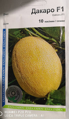 Диня Драко F1 10 нас., фото 1