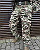Тактичні штани SoftShell Combat Tactic Multicam, Тактичні брюки Софтшел Мультикам, Демі штани Мультикам ЗСУ, фото 3