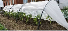 Парник теплиця з агроволокна 3 метри щільність 40 г/м2. міні парник