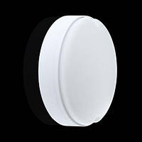 Світильник світлодіодний  ЖКХ Biom MPL-R9-6 9Вт 6000К, коло