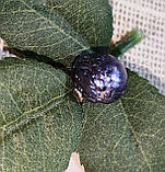 Перли бароко сріблясті 19,8 карат, фото 3