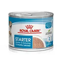 Royal Canin Starter Mousse Роял Канин Стартер Мусс - влажный корм для щенков до 2-х месяцев 195 грамм