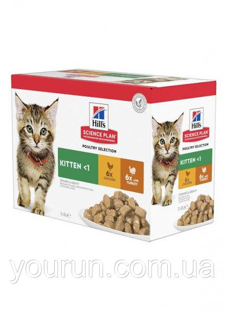 Hill's SciencePlan Kitten Вологий корм для кошенят і кішок у період вагітності та лактації,з куркою та індичкою, фото 1