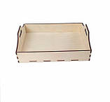 Піднос для подачі 30х26см 5мм, фото 2